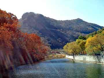 管家婆黑白马报图库，黑帽seo自学